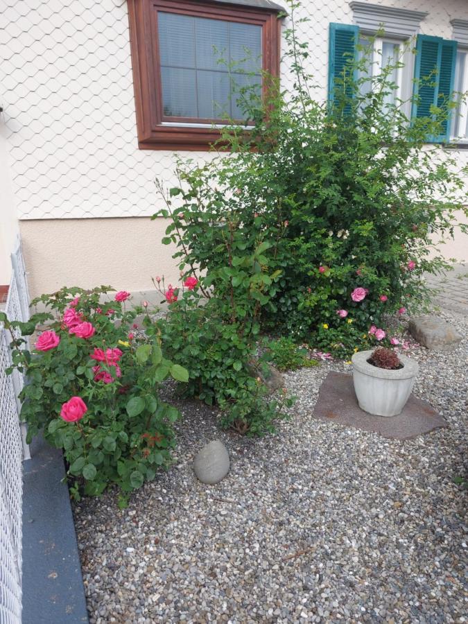 Ferienhaus Und Ferienappartements Brunner Höchst Εξωτερικό φωτογραφία